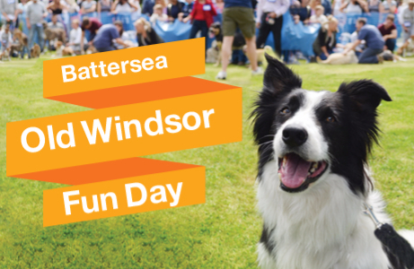 Battersea Dogs Annual Reunion and Fun Day: 04.07.15